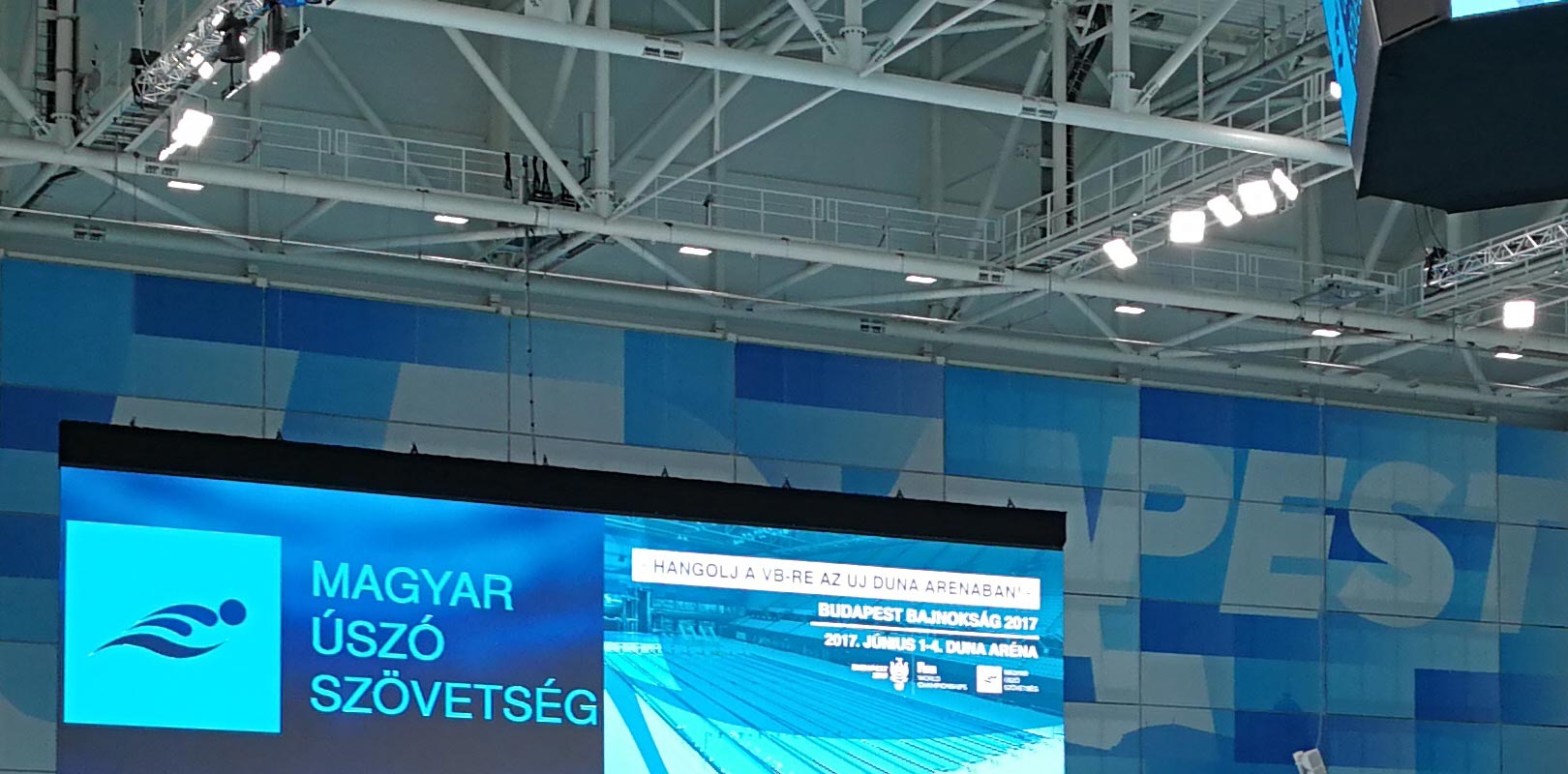 匈牙利布达佩斯世界游泳锦标赛